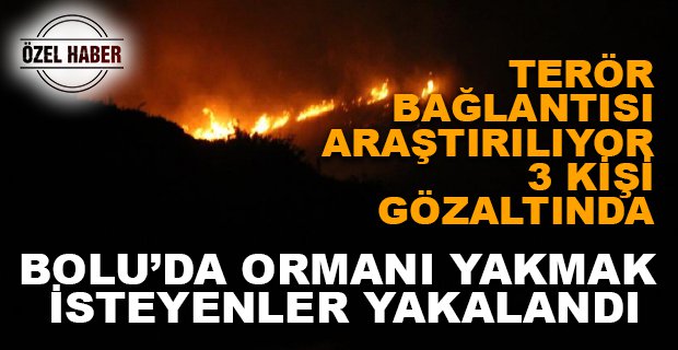 BOLU’DA ORMANI YAKMAK İSTEYENLER YAKALANDI
