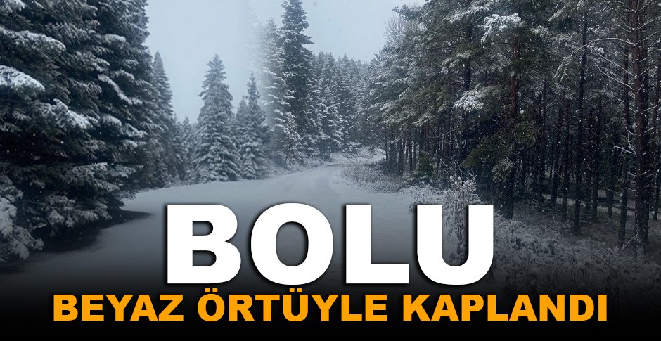 BOLU'NUN DAĞLARI BEYAZ ÖRTÜYLE SÜSLENDİ