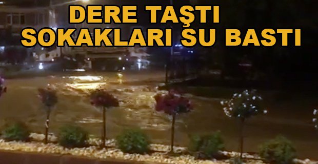DERE TAŞTI SOKAKLARI SU BASTI