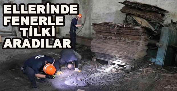 ELLERİNDE FENERLE TİLKİ ARADILAR