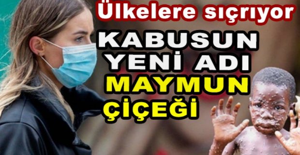 KABUSUN YENİ ADI MAYMUN ÇİÇEĞİ