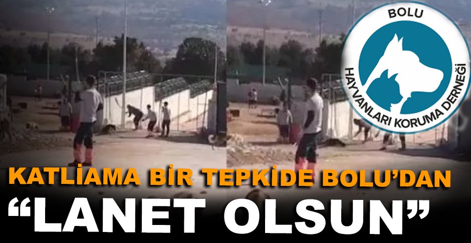 KATLİAMA BİR TEPKİDE BOLU'DAN