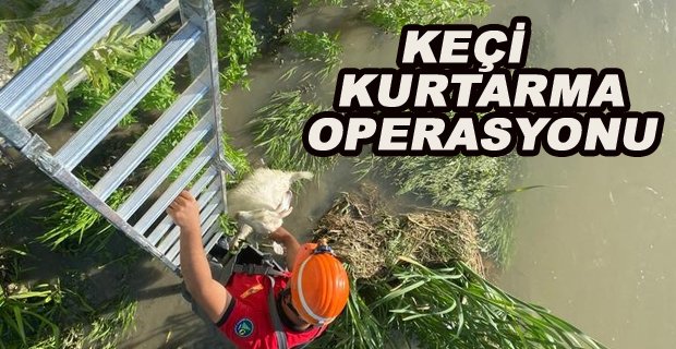 KEÇİ KURTARMA OPERASYONU