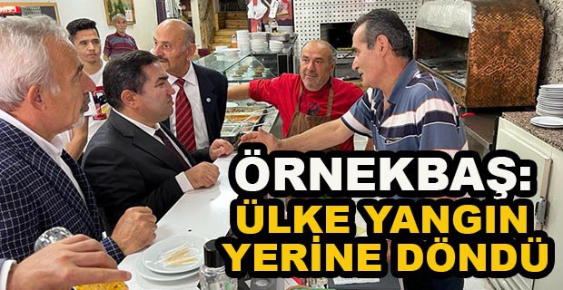 ÖRNEKBAŞ: ÜLKE YANGIN YERİNE DÖNDÜ