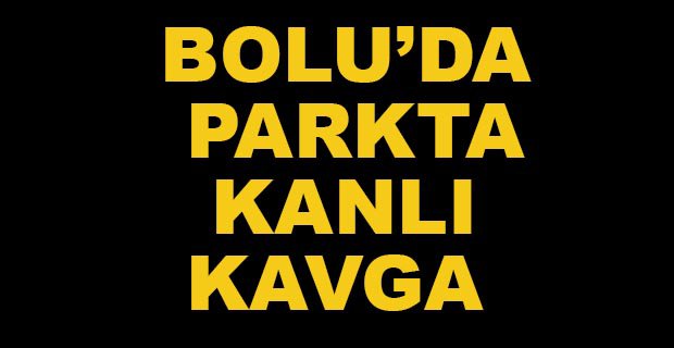 PARKTA KANLI KAVGA