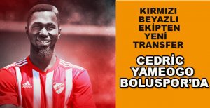 CEDRİC YAMEOGO BOLUSPOR'DA