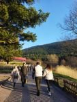 GÖLCÜK’ÜN TADINI DANS EDEREK ÇIKARDILAR