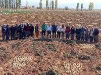 İLK YERLİ VE MİLLİ ŞEKER PANCARI BOLU’DA ÜRETİLDİ
