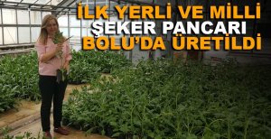 İLK YERLİ VE MİLLİ ŞEKER PANCARI BOLU'DA ÜRETİLDİ