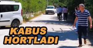 KABUS HORTLADI