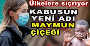 KABUSUN YENİ ADI MAYMUN ÇİÇEĞİ 