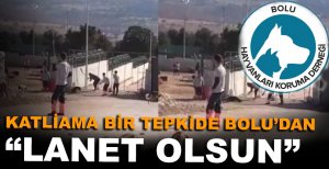 KATLİAMA BİR TEPKİDE BOLU'DAN 