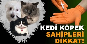  KEDİ KÖPEK SAHİPLERİ DİKKAT! BU HABER SİZİN İÇİN