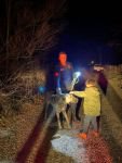 KÖPEĞİN İMDADINA İTFAİYE YETİŞTİ