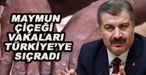 MAYMUN ÇİÇEĞİ VAKALARI TÜRKİYE'YE SIÇRADI