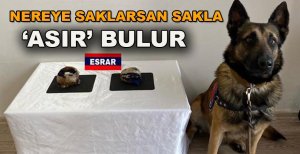 NEREYE SAKLARSAN SAKLA ‘ASIR' BULUR