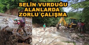 SELİN VURDUĞU MENGEN'DE ZORLU ÇALIŞMA
