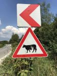 TRAFİK LEVHALARI HEDEF TAHTASINA DÖNDÜ