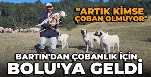 BARTIN'DAN ÇOBANLIK İÇİN BOLU'YA GELDİ 