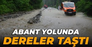 BOLU'DA ABANT YOLUNDA DERELER TAŞTI