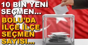 BOLU'DA İLÇE İLÇE SEÇMEN VE SANDIK SAYISI