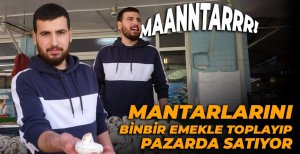 BOLU'DA KÜLTÜR MANTARINA BÜYÜK İLGİ
