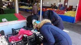 BOLU’DA KÜLTÜR MANTARINA BÜYÜK İLGİ