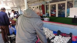BOLU’DA KÜLTÜR MANTARINA BÜYÜK İLGİ