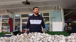 BOLU’DA KÜLTÜR MANTARINA BÜYÜK İLGİ
