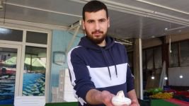 BOLU’DA KÜLTÜR MANTARINA BÜYÜK İLGİ