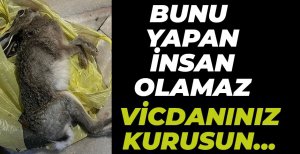 BUNU YAPAN İNSAN OLAMAZ...