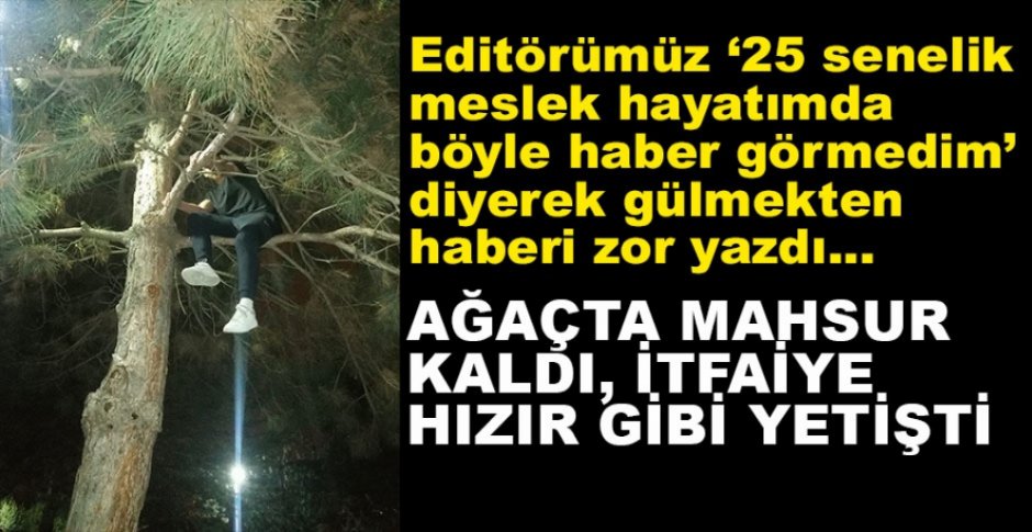AĞAÇTA MAHSUR KALDI, YARDIMINA İTFAİYE KOŞTU...