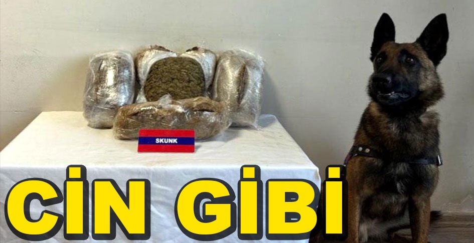 BIÇAK UYUŞTURUCU TACİRLERİNİ ENSELEDİ...