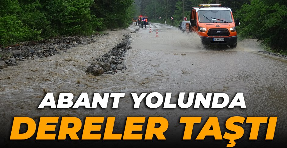 BOLU'DA ABANT YOLUNDA DERELER TAŞTI
