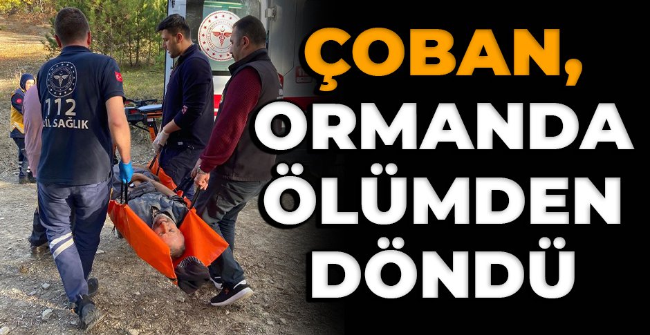 BOLU'DA ÇOBAN, ORMANDA ÖLÜMDEN DÖNDÜ...