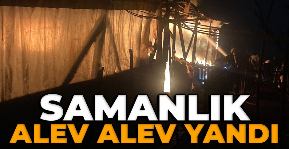 BOLU'DA SAMANLIK ALEV ALEV YANDI...
