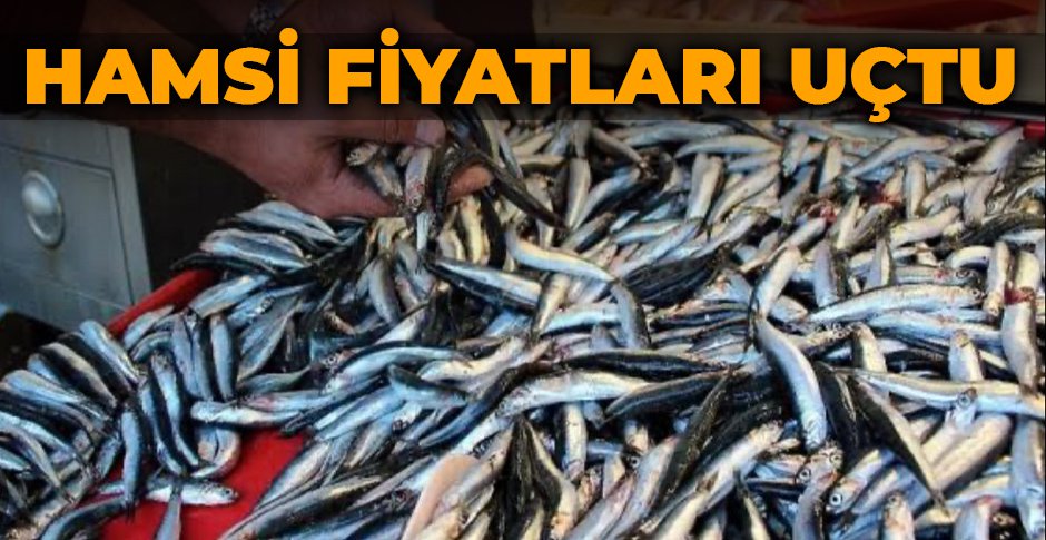 HAMSİ FİYATLARI UÇTU
