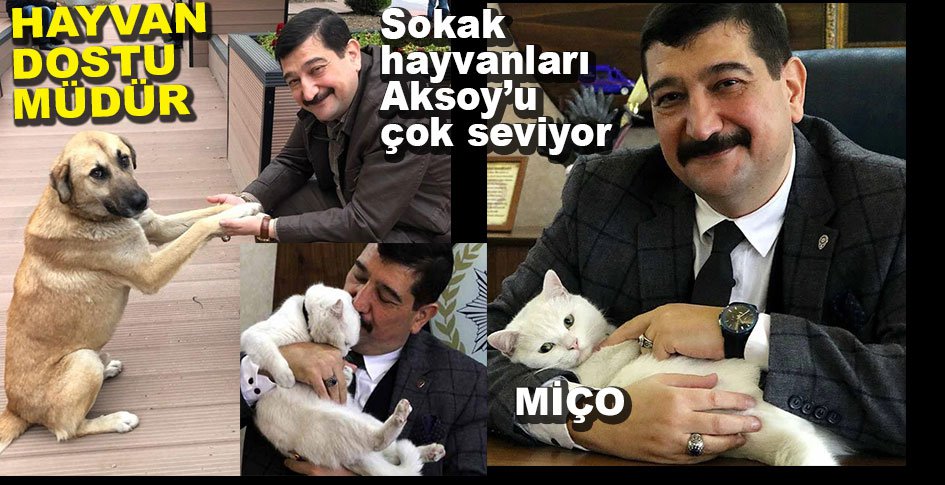HAYVAN DOSTU EMNİYET MÜDÜRÜ...