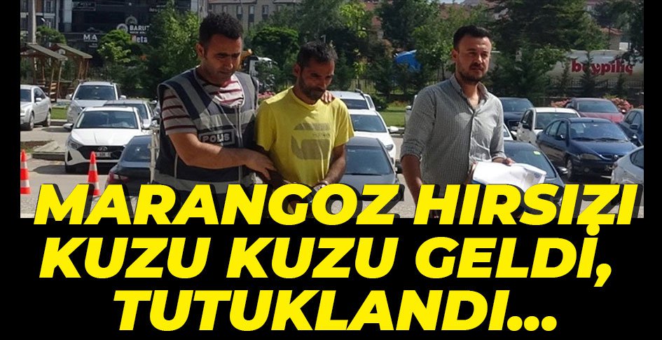 MARANGOZDAN HIRSIZLIK YAPTI, TUTUKLANDI