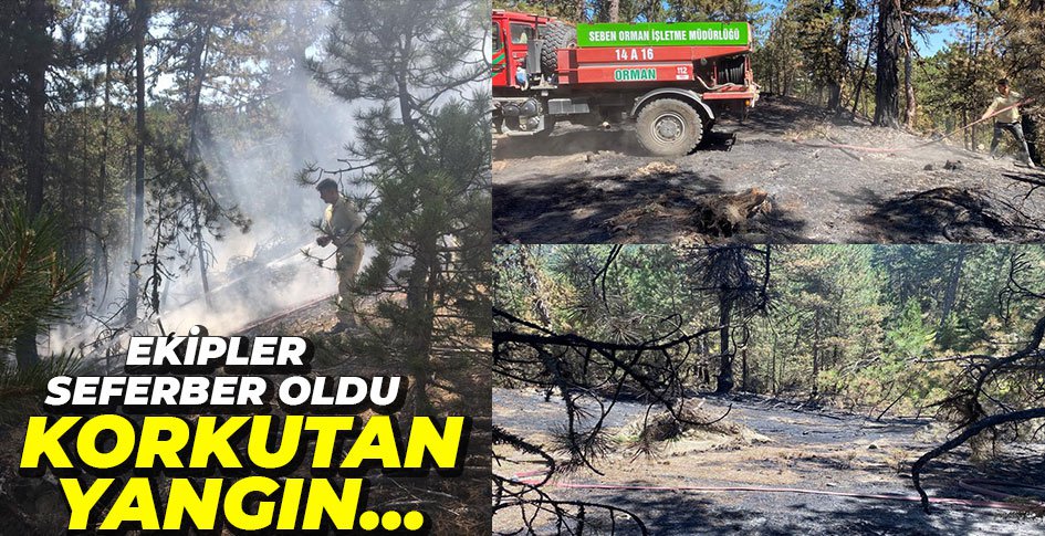 ORMAN YANGINI BÜYÜMEDEN SÖNDÜRÜLDÜ