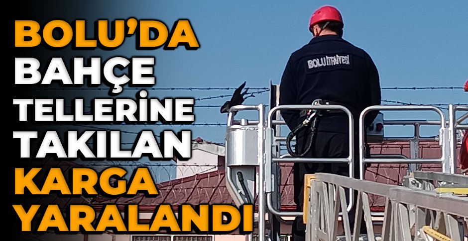 TELLERE TAKILAN KARGA YARALANDI... İTFAİYE KURTARDI