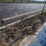 ÇEVRE YOLU ALEMCİLERİN MEKANI OLDU