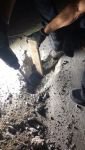 KANALİZASYON BORUSUNA SIKIŞAN KÖPEK KURTARILDI
