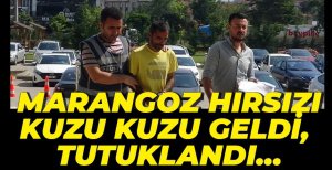 MARANGOZDAN HIRSIZLIK YAPTI, TUTUKLANDI