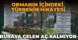 ORMANIN İÇİNDEKİ TÜRBENİN HİKAYESİ: BURAYA GELEN AÇ KALMIYOR 