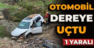 OTOMOBİL DEREYE UÇTU: 1 YARALI 