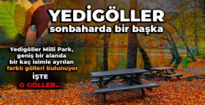 YEDİGÖLLER SONBAHARDA BİR BAŞKA 