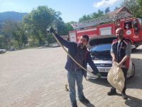 YILAN PANİĞİ…