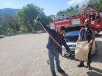YILAN PANİĞİ…