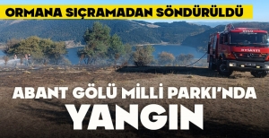 ABANT GÖLÜ MİLLİ PARKI'NDA YANGIN: ORMANA SIÇRAMADAN SÖNDÜRÜLDÜ
